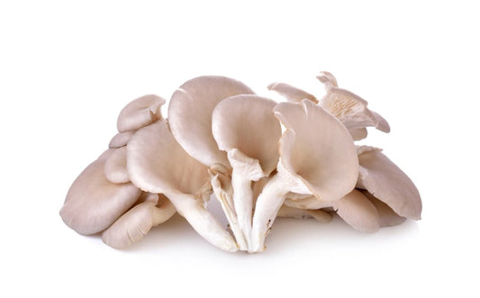 ZIELENIAK Boczniaki 250g. 21,96 zl/kg